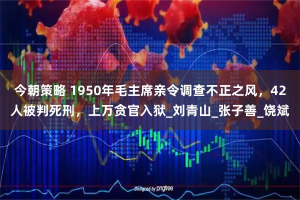 今朝策略 1950年毛主席亲令调查不正之风,42人被判死刑,上万贪官入狱_刘青山_张子善_饶斌