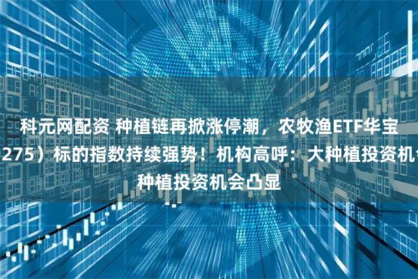 科元网配资 种植链再掀涨停潮，农牧渔ETF华宝（159275）标的指数持续强势！机构高呼：大种植投资机会凸显