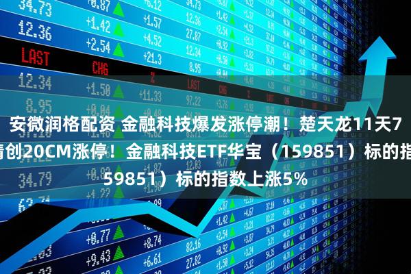 安微润格配资 金融科技爆发涨停潮!楚天龙11天7板,四方精创20CM涨停!金融科技ETF华宝(159851)标的指数上涨5%